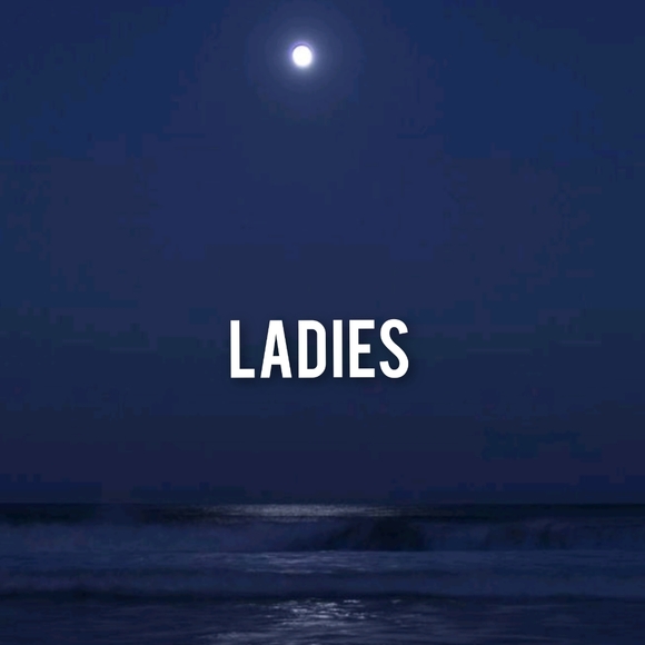 ladies clothing and accessories - Picture 1 of 1